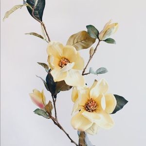 Meet your Posher, Mina